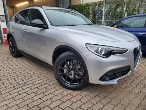 Used ALFA ROMEO STELVIO Diesel 2019 Ad 