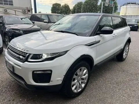 Used LAND ROVER RANGE ROVER EVOQUE Diesel 2018 Ad 