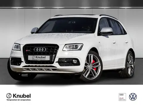 Used AUDI SQ5 Diesel 2017 Ad 