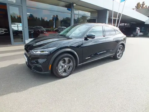 Annonce FORD MUSTANG Non renseigné 2021 d'occasion 