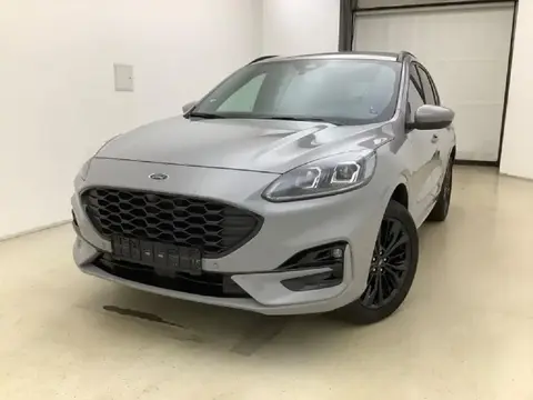 Annonce FORD KUGA Hybride 2023 d'occasion 