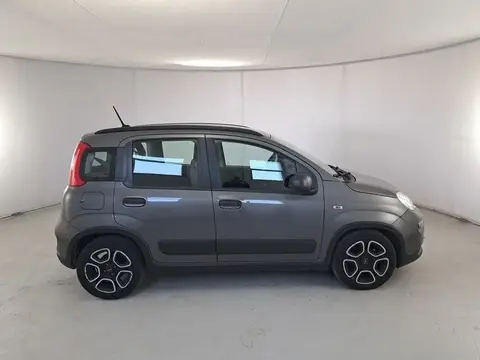 Used FIAT PANDA Hybrid 2021 Ad 