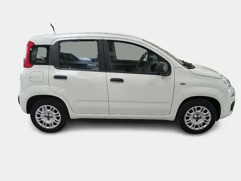 Used FIAT PANDA Petrol 2020 Ad 