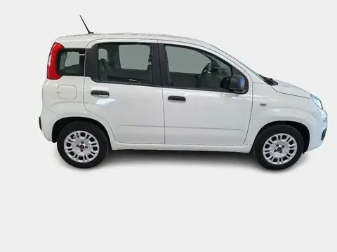 Used FIAT PANDA Petrol 2020 Ad 