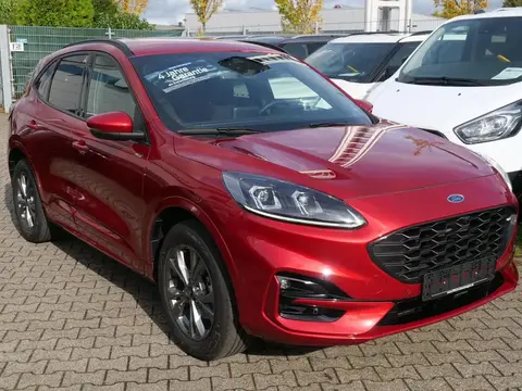 Annonce FORD KUGA Hybride 2023 d'occasion 