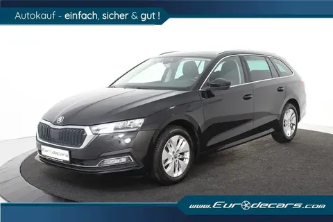 Used SKODA OCTAVIA Petrol 2022 Ad 