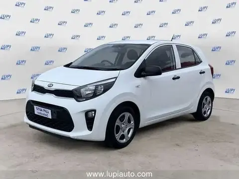 Used KIA PICANTO Petrol 2019 Ad 