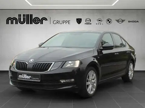 Used SKODA OCTAVIA Petrol 2019 Ad 