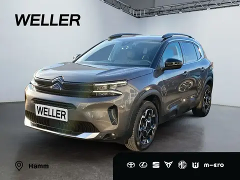 Annonce CITROEN C5 AIRCROSS Essence 2024 d'occasion 