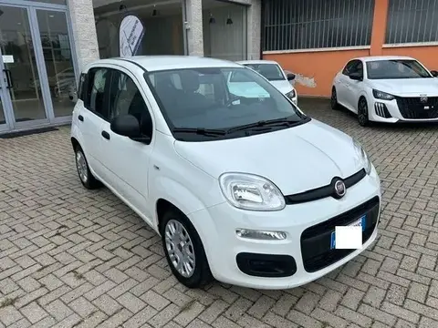 Annonce FIAT PANDA Hybride 2021 d'occasion 