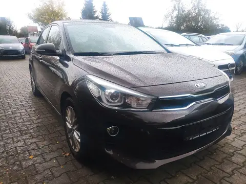 Used KIA RIO Petrol 2018 Ad 