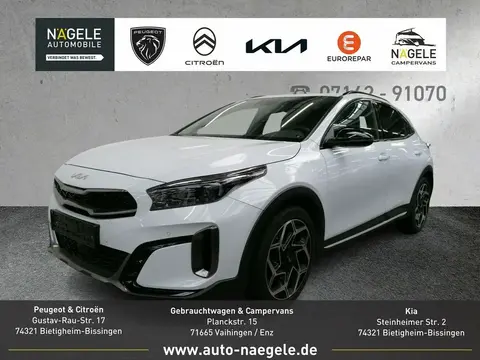 Annonce KIA XCEED Essence 2024 d'occasion 