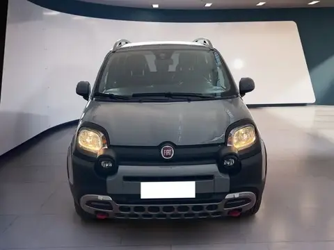 Annonce FIAT PANDA Essence 2021 d'occasion 