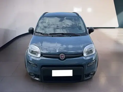 Used FIAT PANDA Hybrid 2021 Ad 