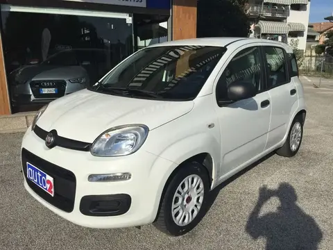 Annonce FIAT PANDA Essence 2019 d'occasion 