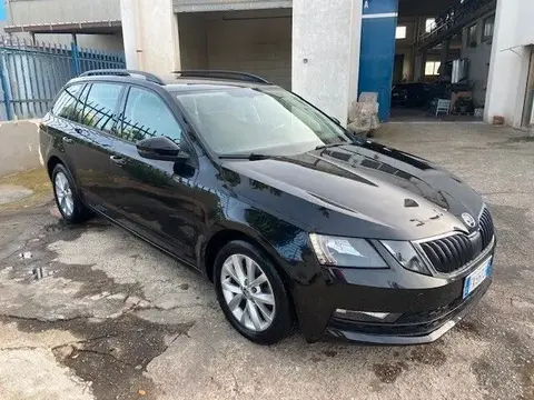 Annonce SKODA OCTAVIA Diesel 2019 d'occasion 