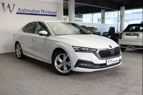 Used SKODA OCTAVIA Diesel 2021 Ad 