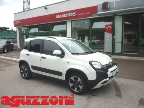 Used FIAT PANDA Hybrid 2023 Ad 