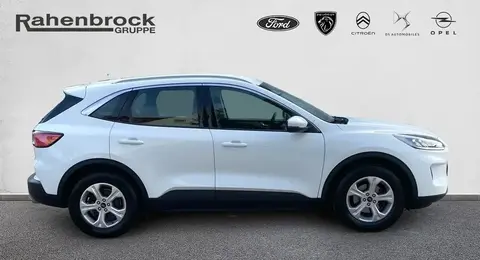 Used FORD KUGA Petrol 2020 Ad 