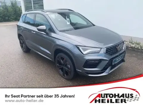 Annonce CUPRA ATECA Essence 2024 d'occasion 