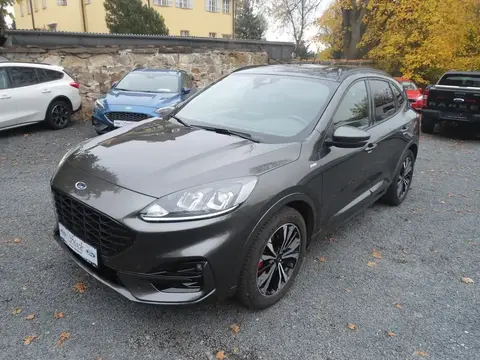 Annonce FORD KUGA Essence 2021 d'occasion 