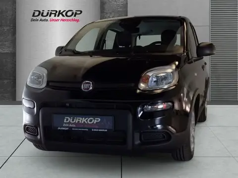 Annonce FIAT PANDA Essence 2024 d'occasion 