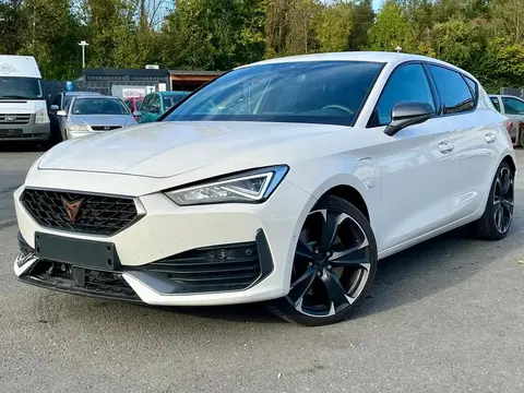 Used CUPRA LEON Hybrid 2021 Ad 