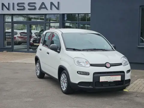 Used FIAT PANDA Petrol 2024 Ad 