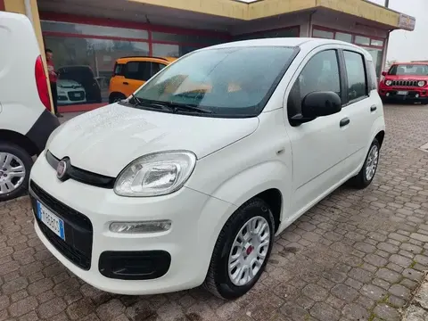 Annonce FIAT PANDA Essence 2017 d'occasion 