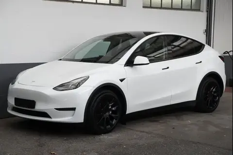 Used TESLA MODEL Y Not specified 2023 Ad 