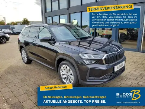 Used SKODA KODIAQ Diesel 2024 Ad 