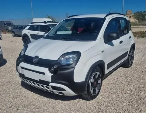 Annonce FIAT PANDA Hybride 2020 d'occasion 