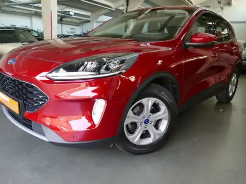 Annonce FORD KUGA Essence 2021 d'occasion 