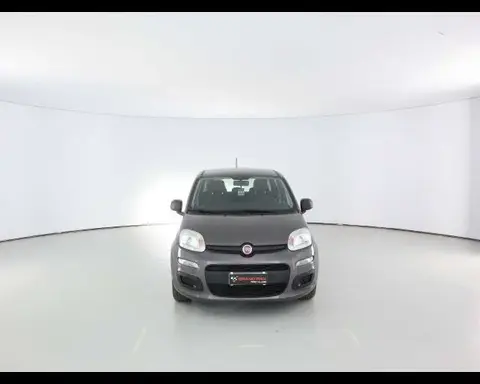 Used FIAT PANDA Hybrid 2020 Ad 