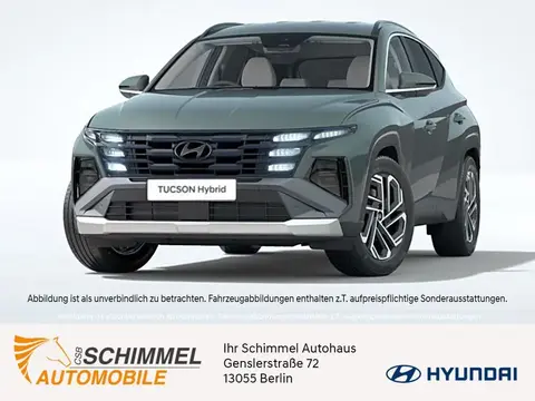 Annonce HYUNDAI TUCSON Hybride 2024 d'occasion 