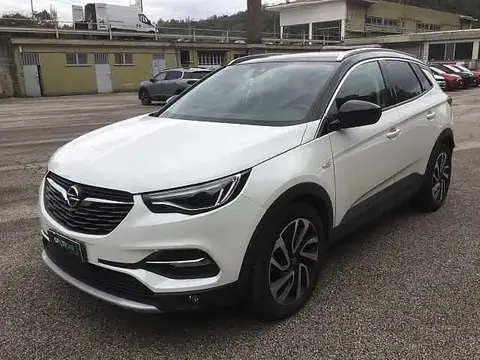 Annonce OPEL GRANDLAND Diesel 2019 d'occasion 