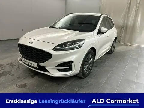 Used FORD KUGA Hybrid 2020 Ad 