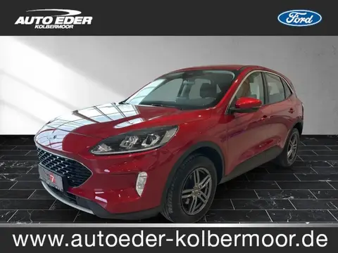 Used FORD KUGA Diesel 2020 Ad 