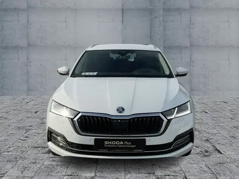 Annonce SKODA OCTAVIA Diesel 2021 d'occasion 