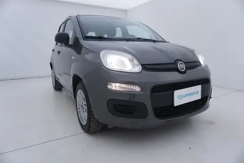 Annonce FIAT PANDA Essence 2019 d'occasion 