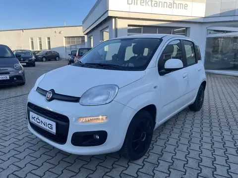 Annonce FIAT PANDA Essence 2019 d'occasion 