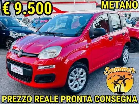 Annonce FIAT PANDA  2019 d'occasion 