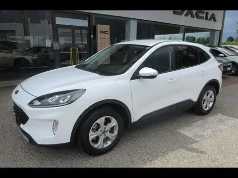 Used FORD KUGA Diesel 2021 Ad 