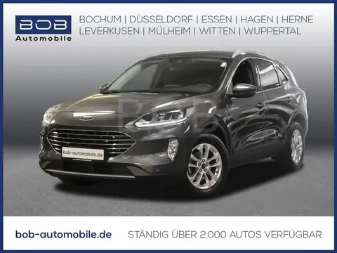 Used FORD KUGA Diesel 2023 Ad 