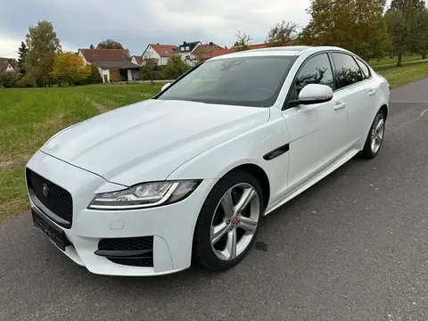 Annonce JAGUAR XF Diesel 2019 d'occasion 