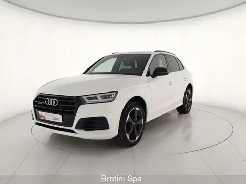 Used AUDI Q5 Diesel 2019 Ad 