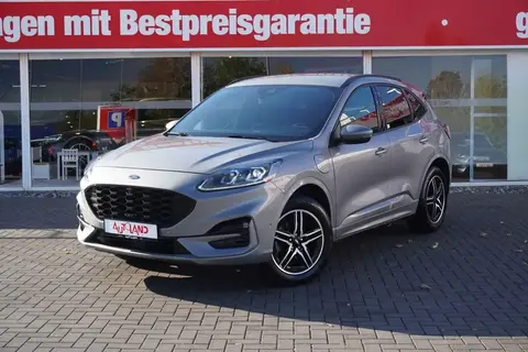 Annonce FORD KUGA Hybride 2022 d'occasion 