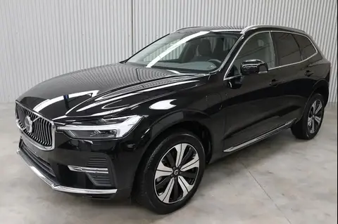 Used VOLVO XC60 Hybrid 2023 Ad 