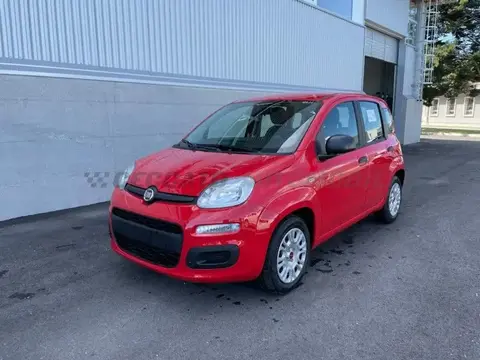 Annonce FIAT PANDA Hybride 2021 d'occasion 