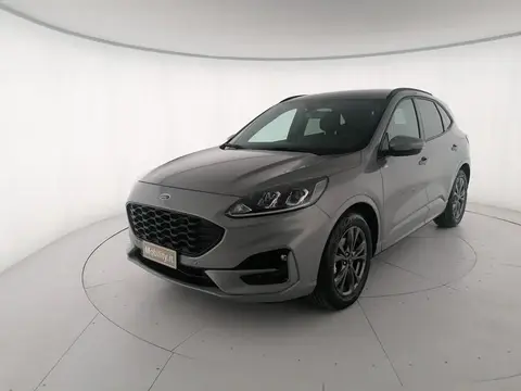 Used FORD KUGA Hybrid 2023 Ad 